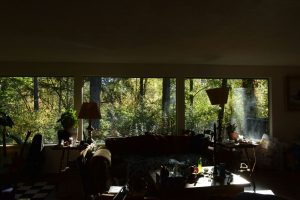 Lumière du soleil entrant dans une pièce chaleureuse donnant sur des arbres